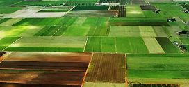 На Прикарпатті прокуратура вимагає конфіскувати землі у громадян Росії