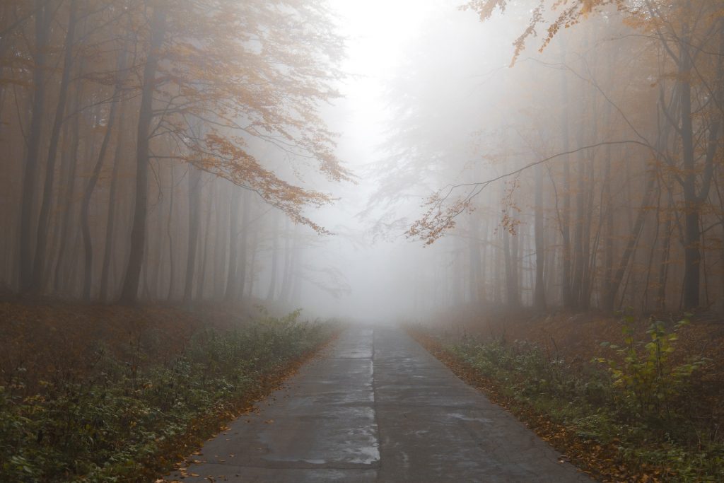 осінь, туман