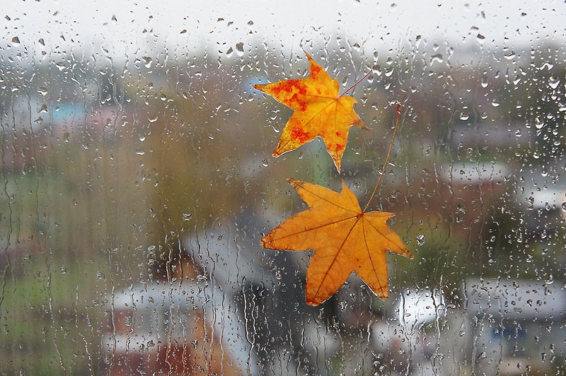 погода, осінь, дощі