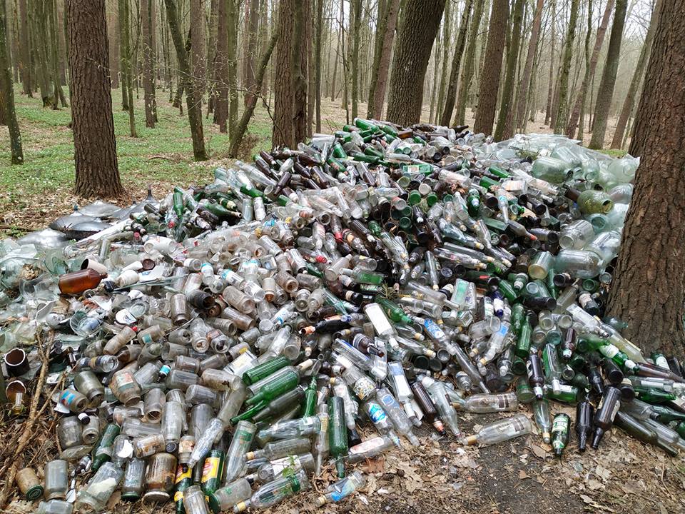 На Прикарпатті у лісі люди зібрали понад 4 тонни склотари (ВІДЕО)