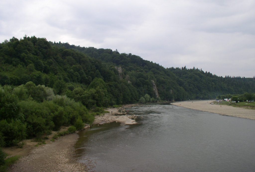річка Стрий