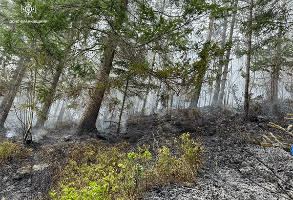 пожежа ліс