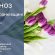 Прогноз погоди для Івано-Франківська на 26 березня: до 16° тепла