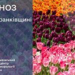 погода травень