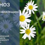 погода травень
