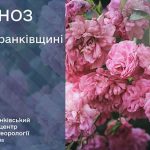 погода травень