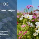 погода травень