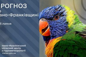 До 28° тепла: прогноз погоди у Франківську на 5 липня