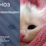 погода липень