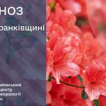 погода липень