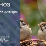 погода липень