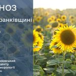 погода серпень