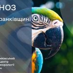 погода серпень