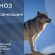 До 30° тепла: прогноз погоди у Франківську на 10 серпня