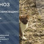 погода вересень