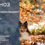 погода вересень