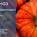 погода листопад