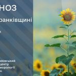 погода жовтень