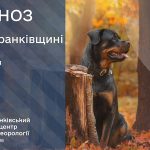 погода жовтень