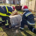 новини дснс