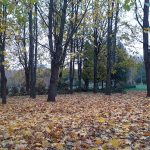 осінній парк