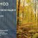 До 13° тепла: прогноз погоди у Франківську на 10 листопада