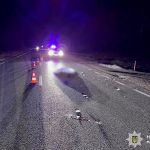 загинув пішохід