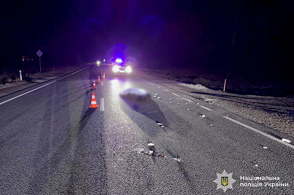 загинув пішохід