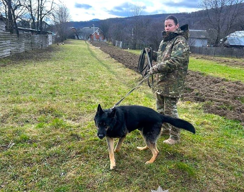 новини Прикарпаття