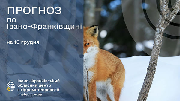 погода у грудні, прогноз погоди