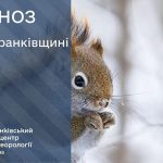 погода грудень