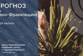 До 6° тепла: прогноз погоди в Івано-Франківську на 24 лютого