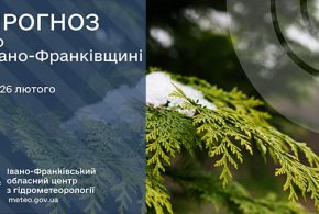 До 4° тепла: прогноз погоди у Франківську на 26 лютого