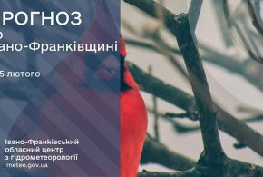 До 4° тепла: прогноз погоди у Франківську на 5 лютого