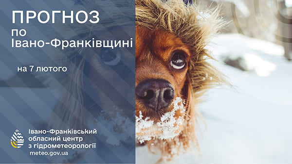 До 3° тепла: прогноз погоди у Франківську на 7 лютого