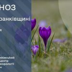До 16° тепла: прогноз погоди у Франківську на 17 березня