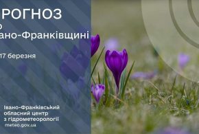 До 16° тепла: прогноз погоди у Франківську на 17 березня