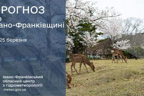 До 16° тепла: прогноз погоди у Франківську на 25 березня