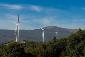 На полонинах Микуличина хочуть звести вітрові електростанції