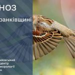 погода квітень