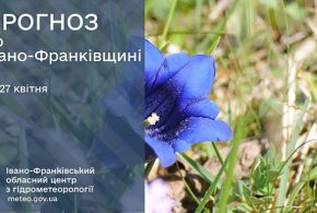 Сильні заморозки: прогноз погоди у Франківську на 27 квітня