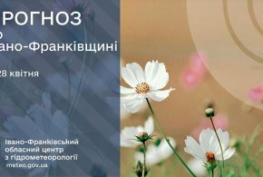 Сильні заморозки: прогноз погоди у Франківську на 28 квітня