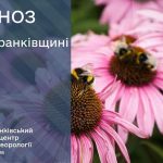 погода квітень