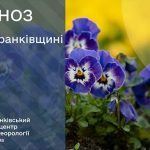 погода квітень