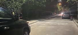 В аварії у Франківську травмувалася 15-річна дівчина