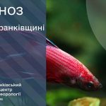 погода травень