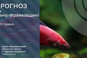Хмарно і дощ: прогноз погоди у Франківську на 12 травня