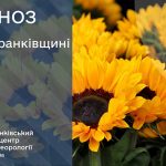 погода травень