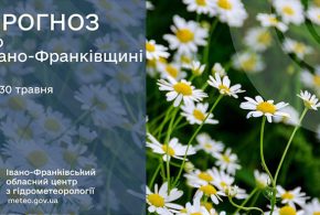 До 22° тепла: прогноз погоди у Франківську на 30 травня
