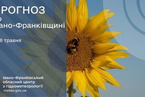 До 20° тепла: прогноз погоди у Франківську на 8 травня